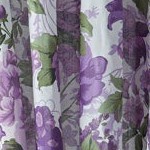 plum floral