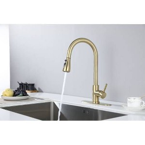 Kitchen Faucet Equipped with a Pull-Out Spray Nozzle Kitchen Sink Faucets - 1 of 4