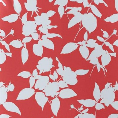 coral shadow floral