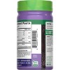 Nature's Truth Elderberry Gummy - 22ct - 4 of 4