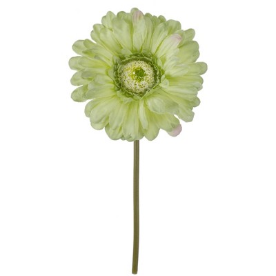 Darice 9" Light Green Gerbera Daisy Artificial Floral Pick