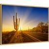 Amanti Art Saguaro National Park Setting Sun by Melanie Viola Canvas Wall Art Print Framed - 2 of 4