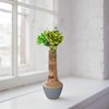 Mela Artisans Raimona Mangowood Vase - 4 of 4