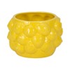 Ceramic Ceramic Planter - Textured Modern Flower Pot with Drainage - Indoor & Outdoor Decorative Plant Holder for Home & Garden - 5" Yellow - 4 of 4