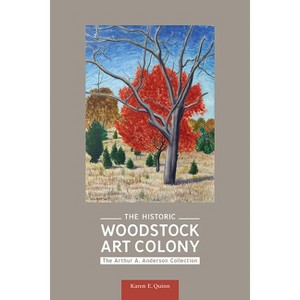The Historic Woodstock Art Colony - (Excelsior Editions) by  Karen E Quinn (Paperback) - 1 of 1