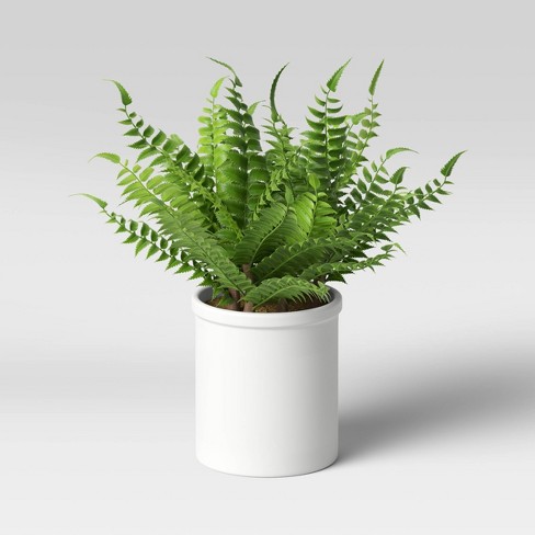 16 X 15 Artificial Boston Fern Plant Threshold Target