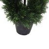 Vickerman Boxwood Double Spiral Everyday Topiary - 4 of 4