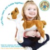 Bobby The Boston Terrier Boxer - 14 Inch Stuffed Animal Plush - By Viahart - 2 of 4