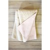 Iveta Abolina Cacti Stripe Pastel Sherpa Fleece Blanket - Deny Designs - 2 of 2