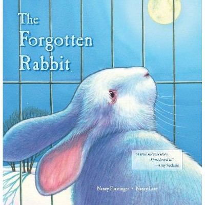The Forgotten Rabbit - by  Nancy Furstinger (Hardcover)
