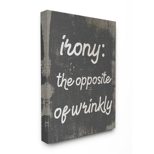 Stupell Industries Irony Definition Wrinkly Laundry Family Home Humor - 1 of 4