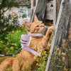 Unique Bargains Escape Proof Cat Harness and Leash Set with Bee Pattern for Large and Small Cats Travel Walking Medium Purple - 2 of 4