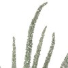 Northlight 25" White Glittered Artificial Foxtail Christmas Spray - 3 of 3