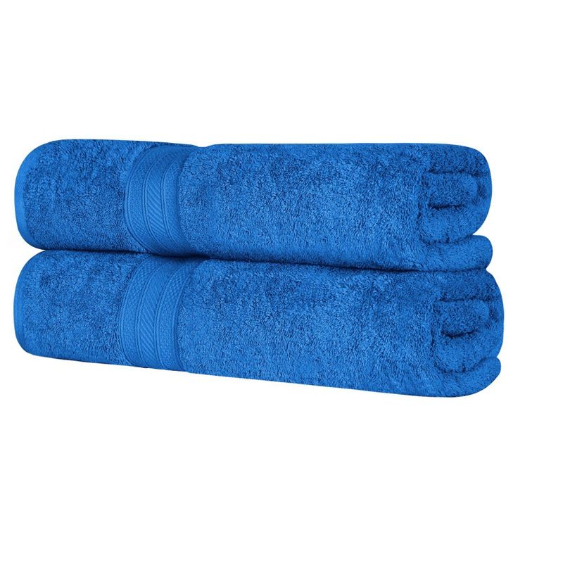 Cotton Highly Absorbent Solid 2-Piece Ultra-Plush Bath Sheet Set by Blue Nile Mills, 1 of 7