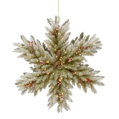 Northlight 32 Pre-Lit Decorated Frosted Pine Cone and Berries Artificial  Christmas Snowflake, 1 - City Market