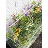Gardener’s Supply Company Chicken Wire Cloche Flat Back Crop Coop | Sturdy Metal Flower, Garden Plants, and Backyard Vegetables Cover Protector | 20"D - 4 of 4