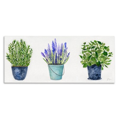 Stupell Industries Varied Potted Plants & Herbs, 30" x 13"
