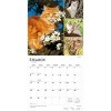 BrownTrout Cat Lovers 2026 12"x24" Hanging Square Wall Calendar Plastic-Free - 3 of 4