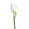 Floral Home 14" Rubber Cream Calla Lily - 24-Piece - 2 of 2