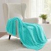 Bedsure | Indulge in Comfort Bed Blanket with Unique Chunky Corduroy Texture - 2 of 4