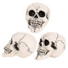 HalloweenCostumes.com  Set of 3 Large Skulls, Black/Brown - 2 of 4