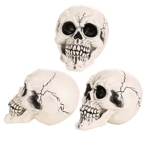 HalloweenCostumes.com  Set of 3 Large Skulls, Black/Brown - 1 of 4