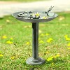 SPI Home Frog Diver Trio Birdbath / Birdfeeder – 26" Tall Whimsical Metal Garden Sculpture, Dual-Purpose Outdoor Frog Décor - 3 of 3