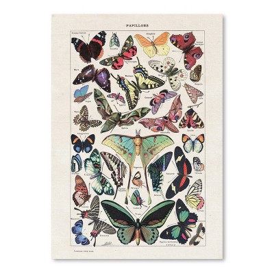 Americanflat - Papillons Vintage Poster Art Print by Samantha Ranlet - 8"x10" Poster Art Print