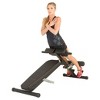 Fitness Reality X-Class Light Commercial Multi-Workout Abdominal /Hyper Back Extension Bench - image 4 of 4