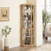 Lyngins American Design Glass Display Cabinet with 2 Side-Hung Doors, Lighted Corner Curio Cabinet with Adjustable Shelves, Accent Storage Cabinet - 2 of 4