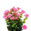 Unique Bargains Artificial Plants Money Plant with Violet Flowers Plastic Pink 3.07"x3.07"x7.48" 1 Pc - 4 of 4
