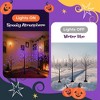 Whisen 3 Pac Spooky Tree with Purple Lights(4FT/5FT/6FT), Lighted Tree, Halloween Decoration - Black & Purple - 3 of 4