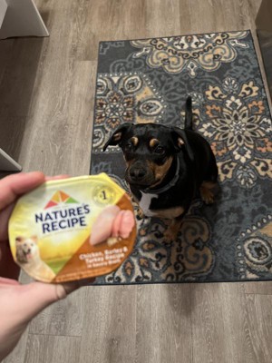 Nature's recipe dog food cheap target