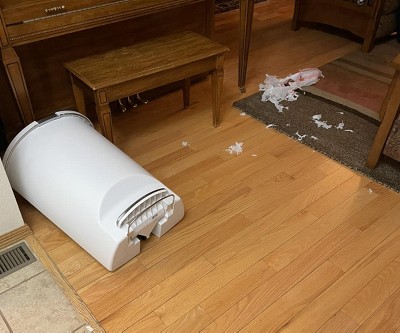 Guest review image 1 of 1, zoom in