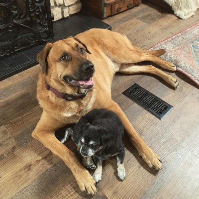 Guest review image 1 of 1, zoom in