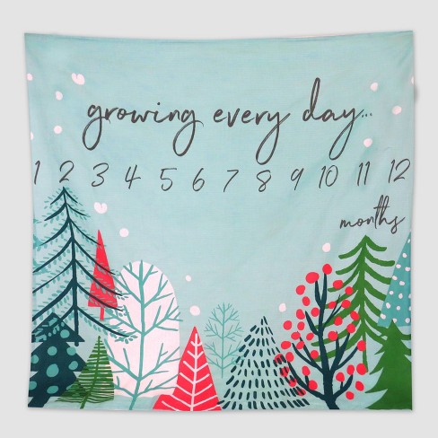 Baby month store blanket target