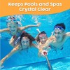 Element Blue Filter Cleaner Spray - Great for Pools and Spas - Eliminates Sunscreen, Oils, Lotion, and Organic Matter (32 oz) - 4 of 4