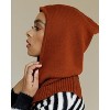 The Wrap Life | Satin Lined Balaclava - 3 of 4