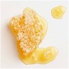 Garnier Whole Blends Honey Treasures Repairing Shampoo - image 3 of 4