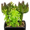 Northlight Potted Artificial Succulent Arrangement - 6" - 3 of 4