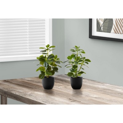 Monarch Specialties Artificial Plant 14 inch Tall Ficus Indoor Faux Fake Table Greenery Potted Set Of 2 Decorative Green Leaves Black Pots