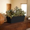 Bloem Rectangular Dura Cotta Window Box - 4 of 4