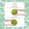 Spongentle Dual-Sided Body Sponge Loofah, Ultra Soft & Exfoliating for Gentle Daily Shower Use - 4 of 4