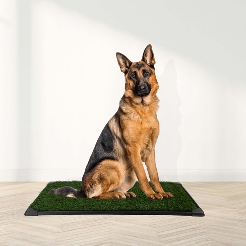 Petmaker potty trainer large sale