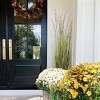 Nearly Natural 5.5-ft Plum Grass Artificial Plant - 2 of 4