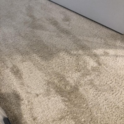 Guest review image 2 of 3, zoom in