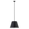 Z-Lite Lilly 1 - Light Pendant in  Matte Black - 2 of 4