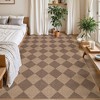 Lahome Diamond Grid Faux Jute Rectangular Indoor Area Rug - 3 of 4