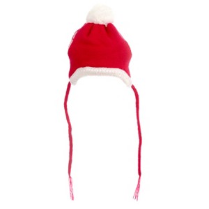 The Worthy Dog Santa Knit Hat - 1 of 1