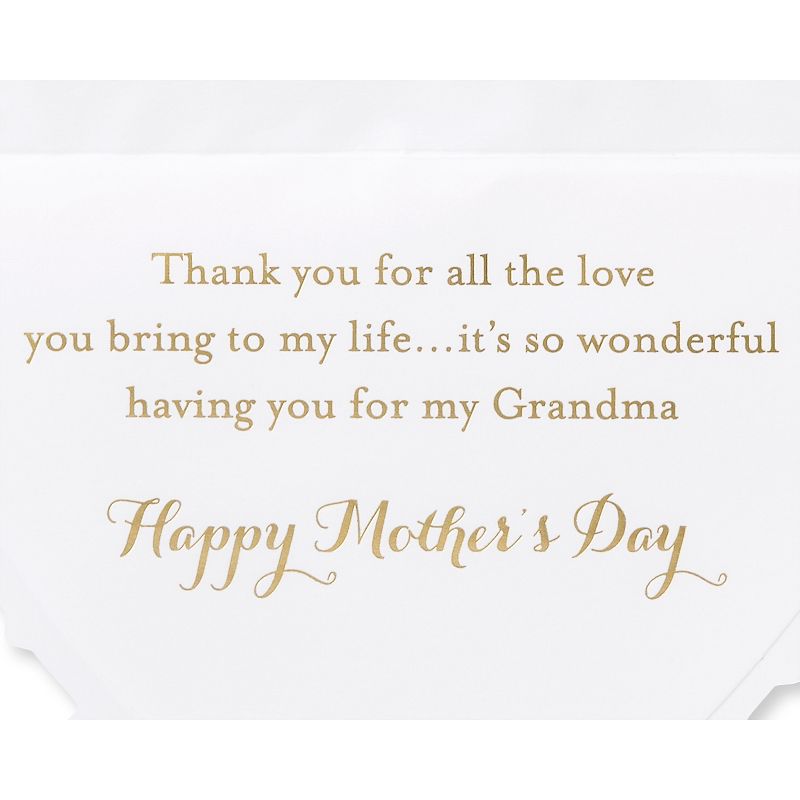 Mother&#39;s Day Card for Grandma All The Love - PAPYRUS, 3 of 6